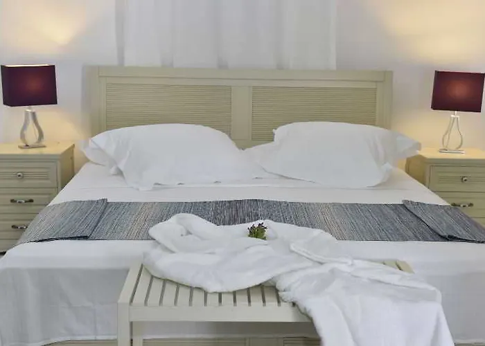 Hotel Paros By Kottas Naousa (Paros)